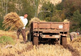 Tarım Destekleri Yüzde 20 Arttı