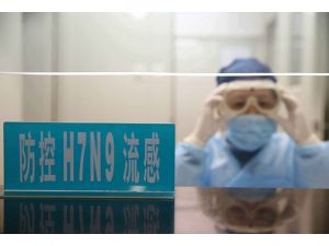 H7N9 virüsünden ölenlerin sayısı artıyor