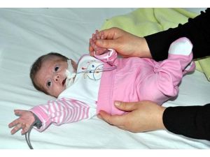 Parmak bebek 4,5 ay sonra annesine kavuştu