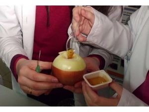 Soğan suyu ve bal penisilinden daha etkili