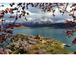 Akdamar Adası "çiçek" açtı