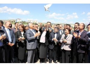 Barış için güvercin uçurdular