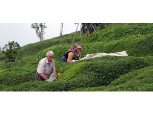 ÇAYKUR'dan dev yatırım