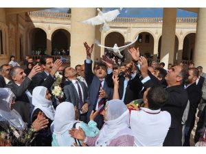 Barış güvercinleriyle karşılandılar