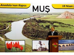 Çabalar inşallah netice verecek