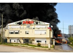 Kocaeli'de fabrika yangını