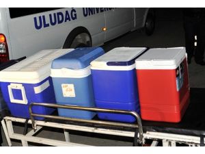 Organ nakli AB ile uyumlu olacak