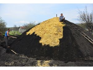 Mangal kömürü işçilerinin zorlu yaşamı