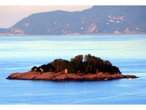 Giresun Adası iki aylığına kuşlara bırakılacak