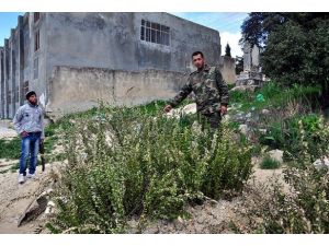 Okul bahçesi mezarları oldu