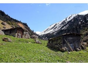 Bitki zengini Kaçkarlar