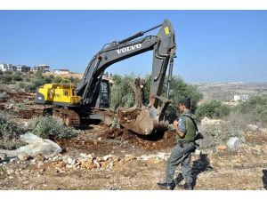 İsrail tarım arazilerini talan etti