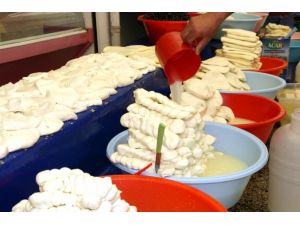 Brusella erkeklerde kısırlık nedeni