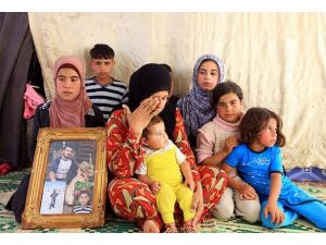 Suriye'nin "savaş dulları"