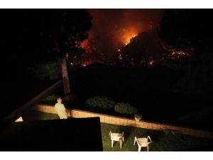 Kaliforniya'daki yangın evleri tehdit ediyor