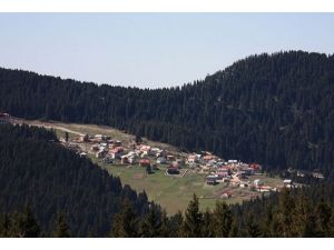 Çözüm süreci yayla turizmini olumlu etkiliyor