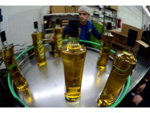 Zeytinyağı ihracatı rekora doymuyor