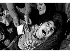 Savaştan kaçıp ormana sığındılar