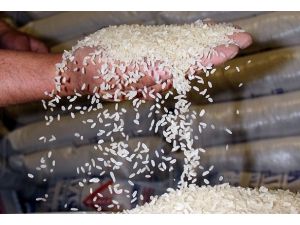 İTÜ'nün GDO analizi yanlış çıktı