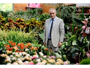 İstanbul 450 milyon liraya süsleniyor