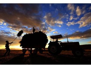 "Uyanık çiftçi" uyduya yakalandı