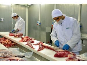 Kırmızı et üretimi arttı 