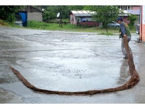 Ağaç kökü ilçeyi susuz bıraktı