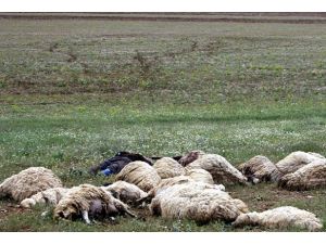 Yıldırım can aldı