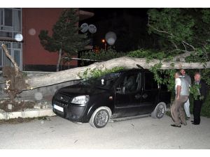 Afyonkarahisar'da şiddetli rüzgar 