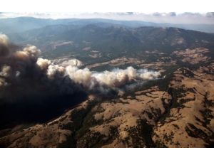 Çanakkale'de orman yangını