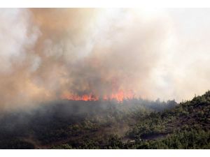 Sarıyer'de ormanlık alanda yangın