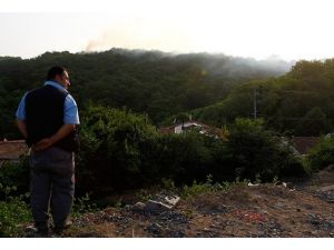 Sarıyer'deki orman yangını söndürüldü