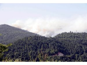 Yenice'deki yangın kontrol altında