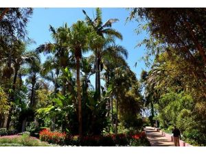 Fas'ta "Muhteşem Bahçeler"