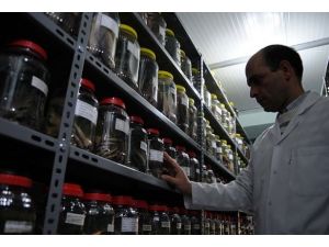 Su ürünleri bölümünü seçen her öğrenciye burs