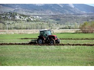 Çiftçi destekleri yatırılıyor