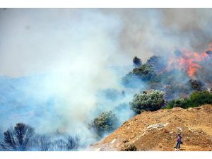 Bodrum'daki yangınlar kontrol altına alındı