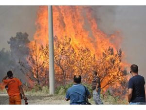 Yangına müdahale imkanına kavuştuk