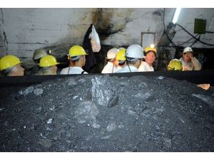 TTK'nın zararı, boğaza köprü maliyeti kadar