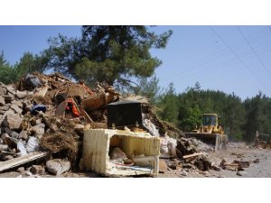 5 lira için ormanı çöplüğe çevirdiler