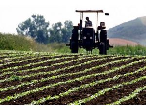 Tarım arazilerinde tek mirasçı dönemi