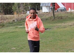 Elvan'ın hedefi "3'te 3"