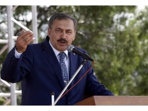 Ağaçlandırılan alan 10 yılda 7 kat arttı