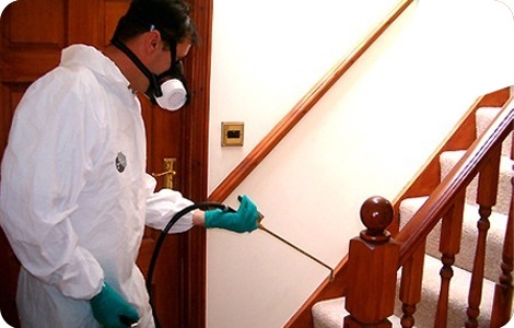 Böcek ve Haşere İlaçlama Hakkında Genel Bilgiler