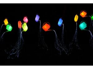 Kudüs'te ışık festivali