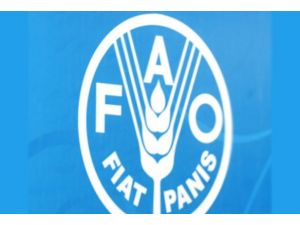 Türkiye'den FAO Konseyi'ne adaylık başvurusu