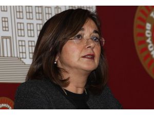 CHP'li Danışoğlu'ndan Avrupa Parlamentosu'na şikayet