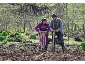 Kırsal nüfus yaşlanıyor