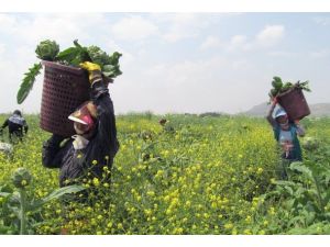 Çiftçilere 2,3 milyar liralık destek ödemesi