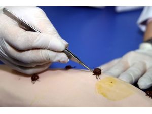 KKKA aşısı insanlarda denenecek